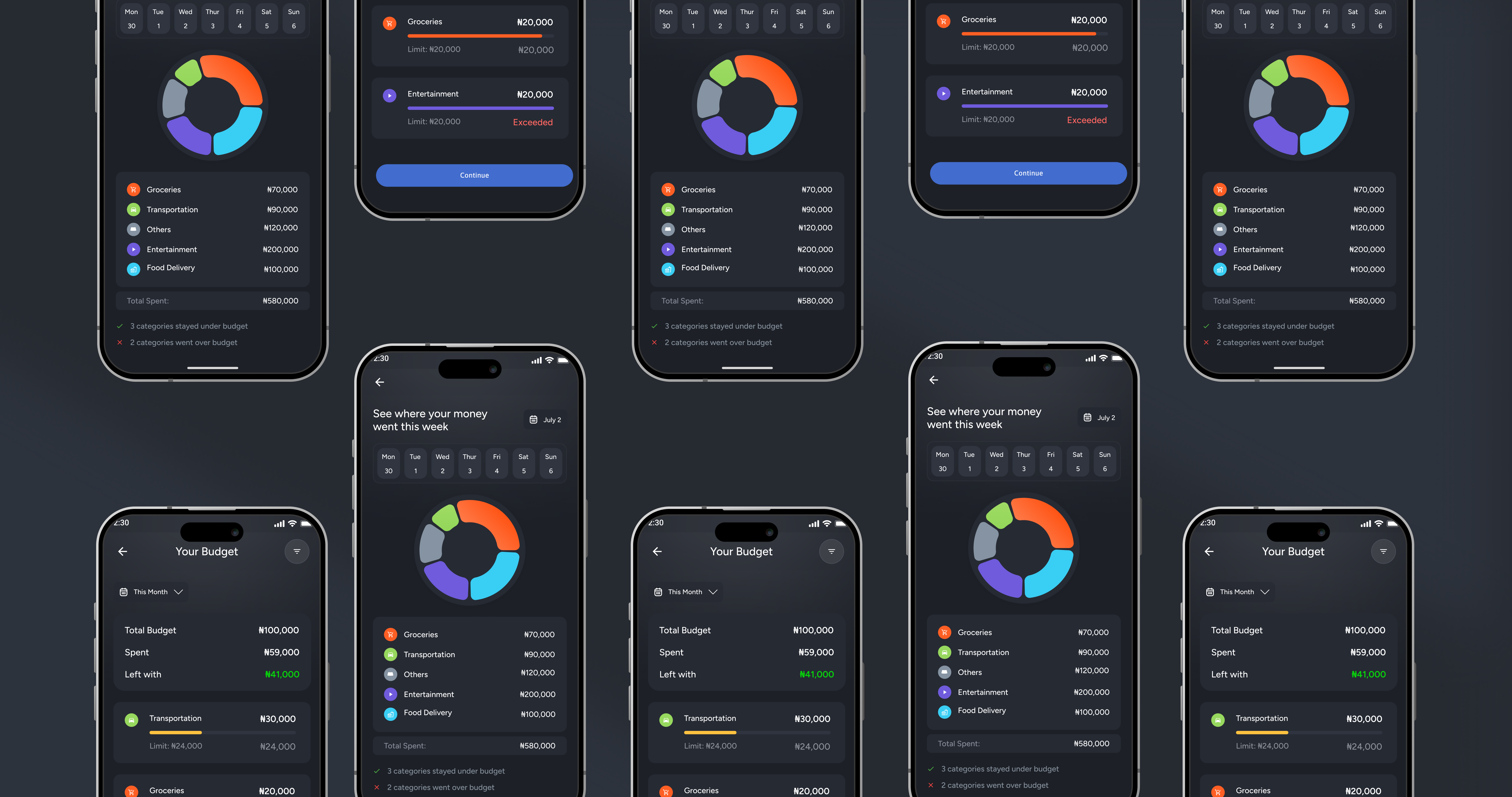 Web Application Interface - Modern web application dashboard